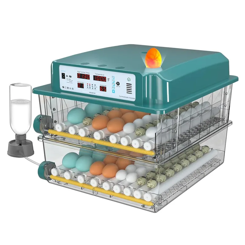 Chalixion Incubators for Hatching 120 Eggs