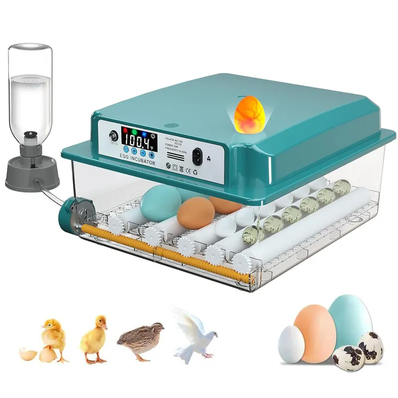 Chalixion Incubators for Hatching 16 Eggs